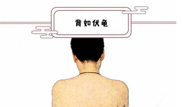 人体背部结构组织图_男人背部痣相最准图_背部经络图