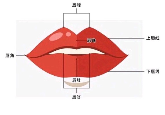 男人上嘴唇有痣相最准图_男人面相学哪个上嘴唇,图_上嘴唇人中有痣的男人