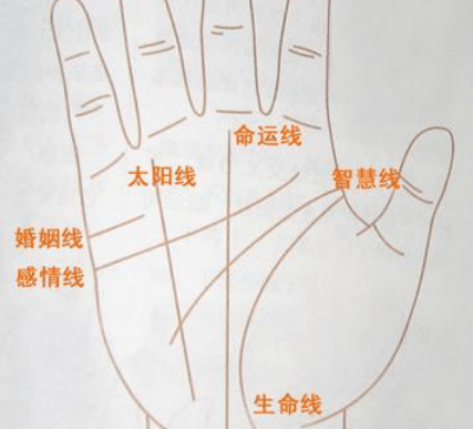 男人左手手相生命线_男人左手手相感情线各种解析_男人左手手相图解