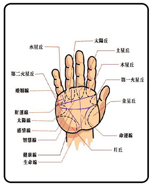 男人左手手相生命线_男人左手手相感情线各种解析_男人左手手相图解