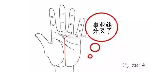 哪种事业状况如何看你属于哪种事业线