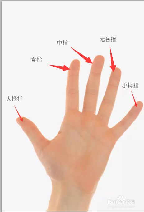 手指上下一样粗的人是什么样的手相代表什么