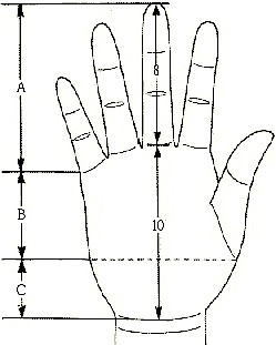 手指上下一样粗的人是什么样的手相代表什么