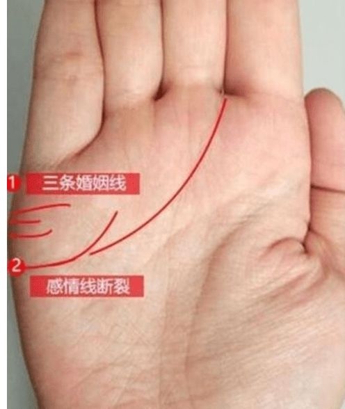 怎么看手相?手相的三条线分别代表什么?