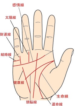 女人手相图解大全详解婚姻线，手相感情线大全图解