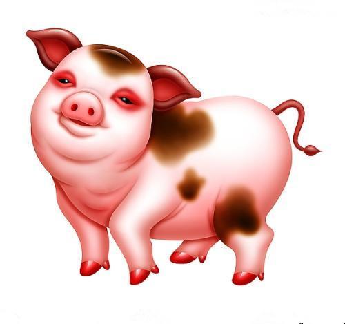 慈元阁风水堂：1995年属猪和猪同婚姻生肖属猪的人