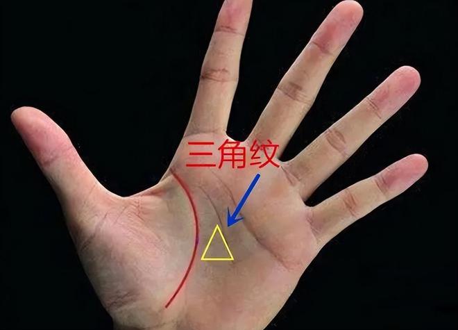 手掌上的纹路很多，三角纹到底在哪呢？