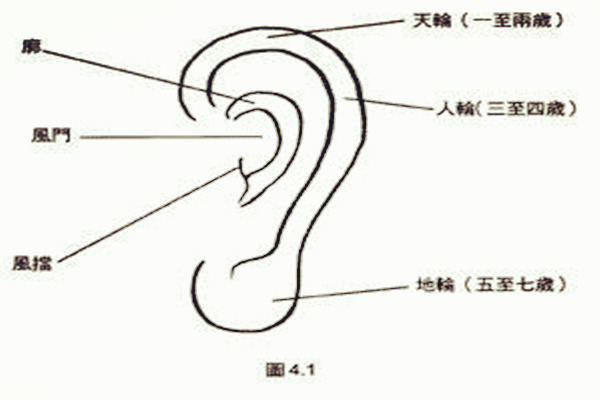生活态度左右耳朵不对称的面相说法是什么？