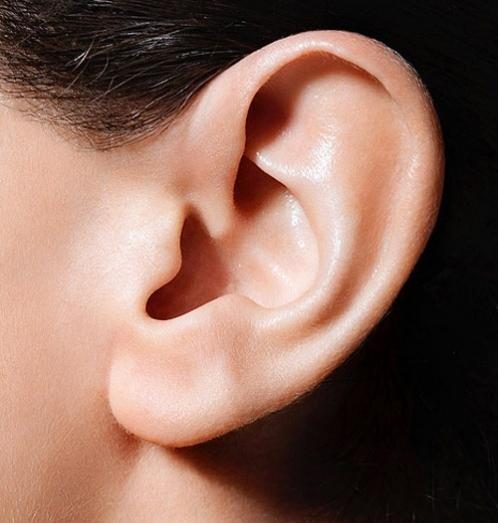 耳朵左右不对称的面相说法是事业成功的耳朵！