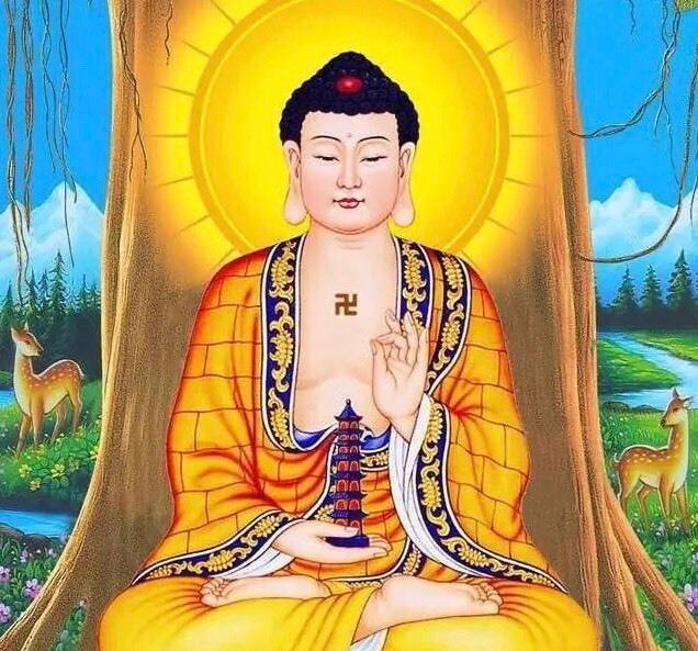 佛教中讲智慧，那么你的智慧究竟是怎么产生的？