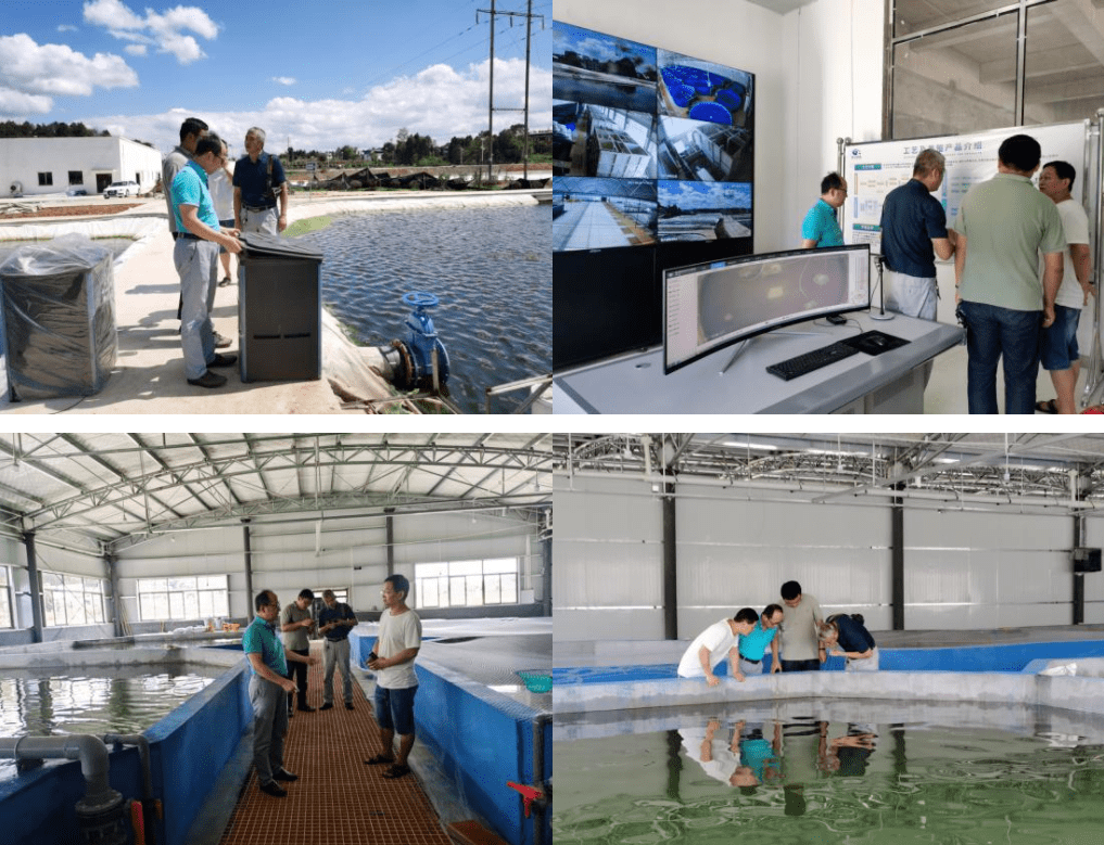 博兴县“5G+智慧渔业”水循环养殖项目建设完成