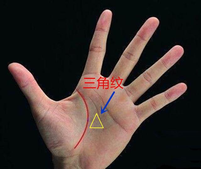 手掌杂纹吉凶占卜—三角纹手掌上出现三角形