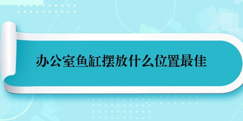 在办公室摆放鱼缸时，你有没有想过最佳放置位置？