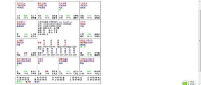 （李向东）紫微斗数看流年的方法！