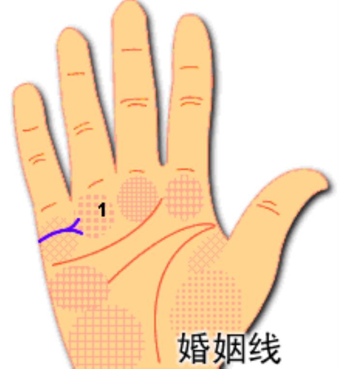 不理想的婚姻线图解，婚姻状态好是坏吗