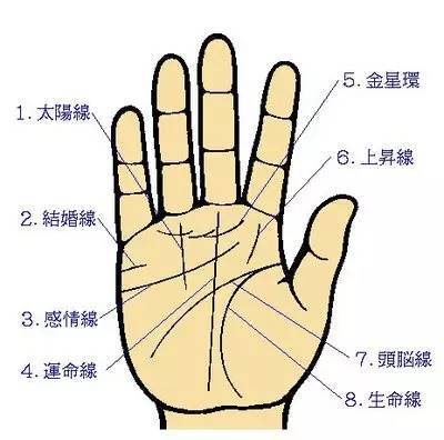 如何看手相感情线知程度？手相是什么意思？