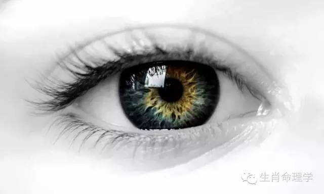 眼睛看相图解大全，看你的眼睛是心灵的窗户