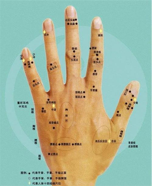 （李向东）女人手痣手相解析女人的手上长痣命运