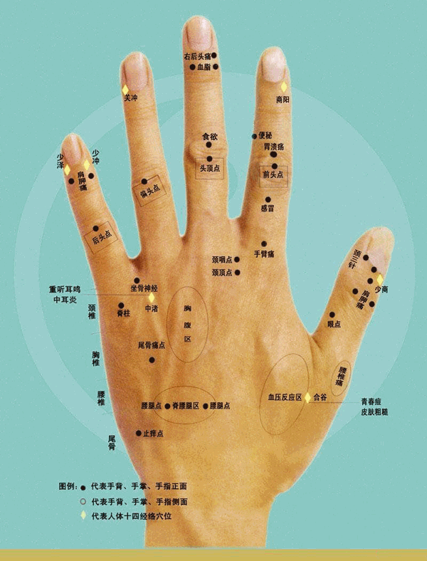 如何看手相算命图解手纹看相算命是流传广泛的一种算命方法