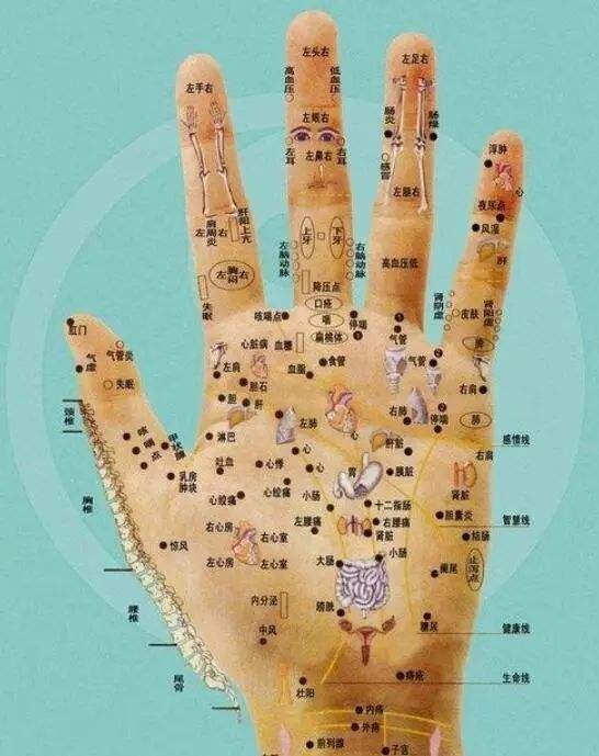 如何看手相算命图解手纹看相算命是流传广泛的一种算命方法